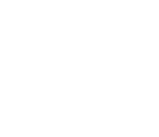 bosch logo white