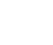 pioneer logo
