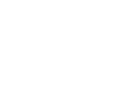 rand mcnally logo
